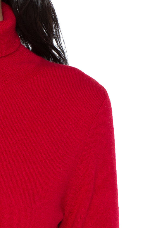 JENNIE LIU Women's 100% Pure Cashmere Long Sleeve Pullover Turtleneck Sweater