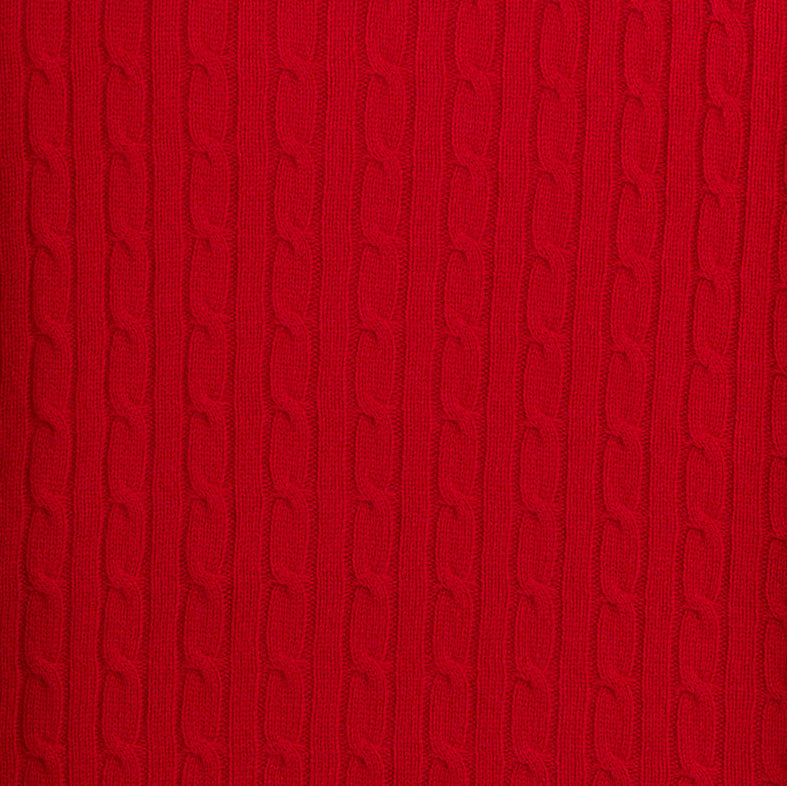 JENNIE LIU Women's 100% Cashmere Cable-knit Long Sleeve Pullover Crew Neck Sweater