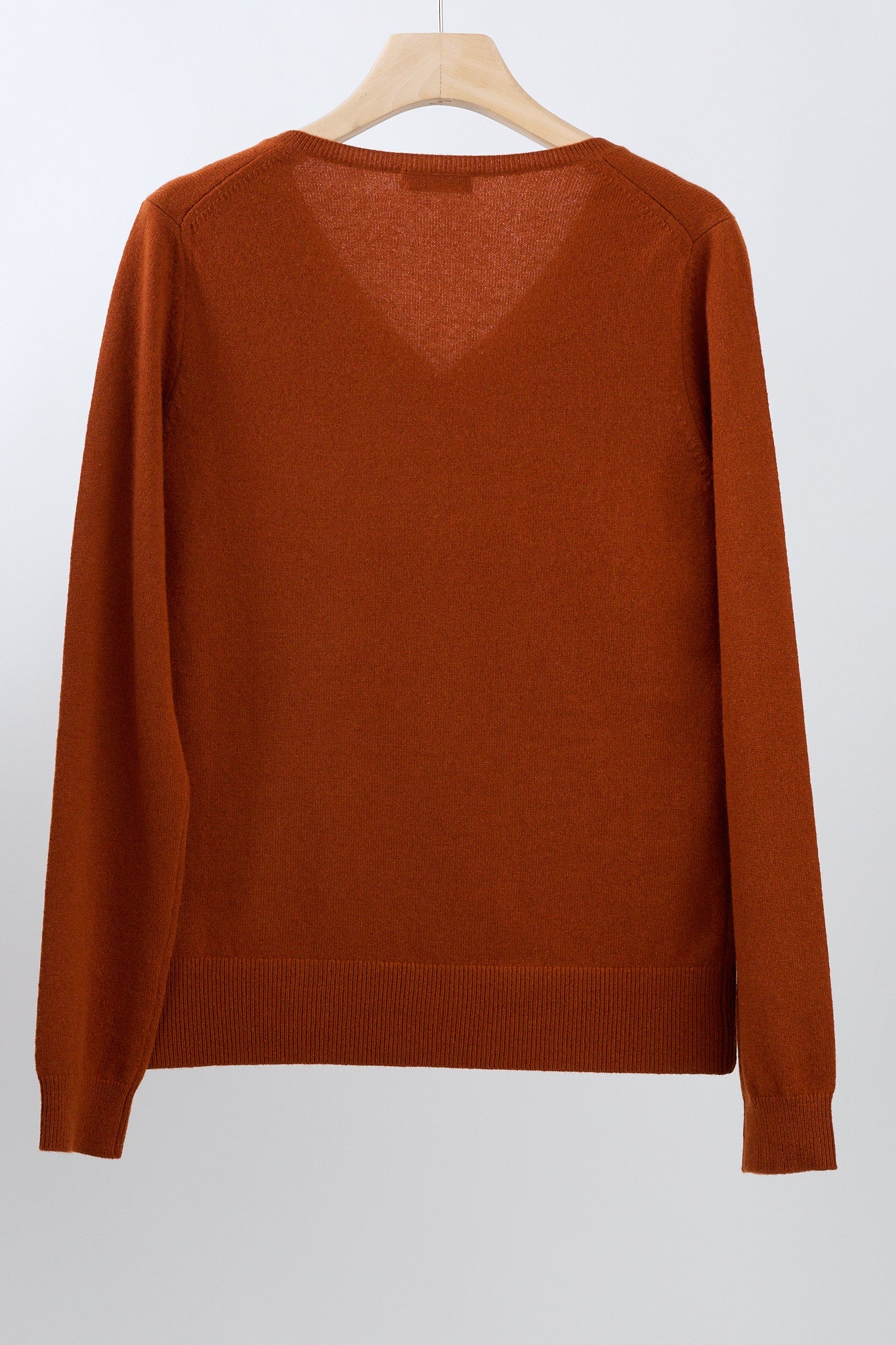 JENNIE LIU Women's 100% Pure Cashmere Long Sleeve Pullover V Neck Sweater